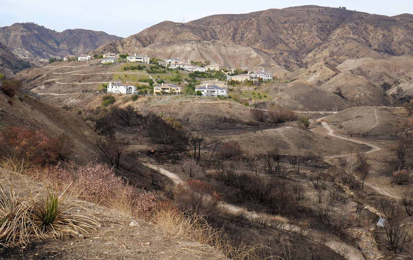 Burned-Canyon-Kian-Goh-img