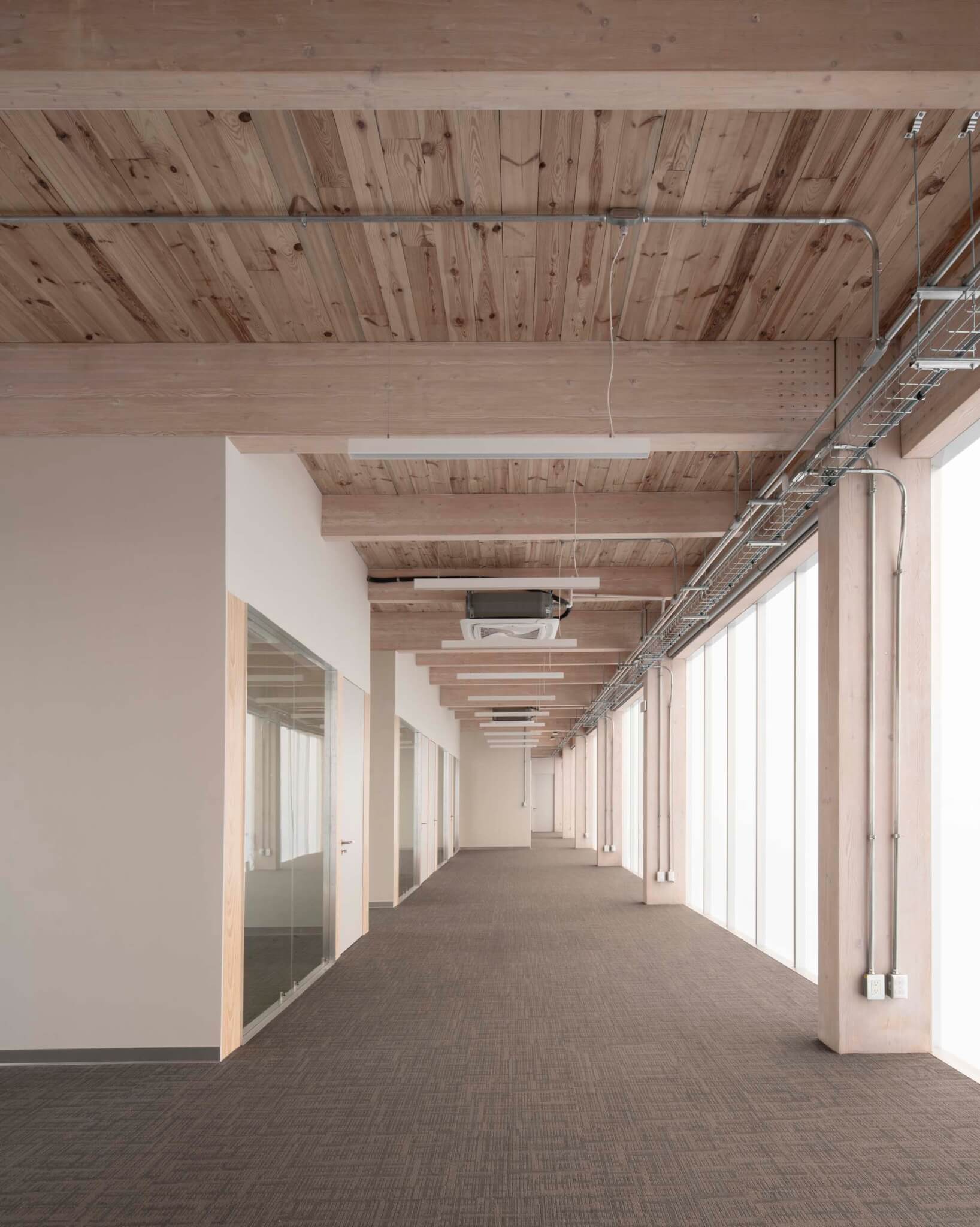 wood beams, columns, and ceilings