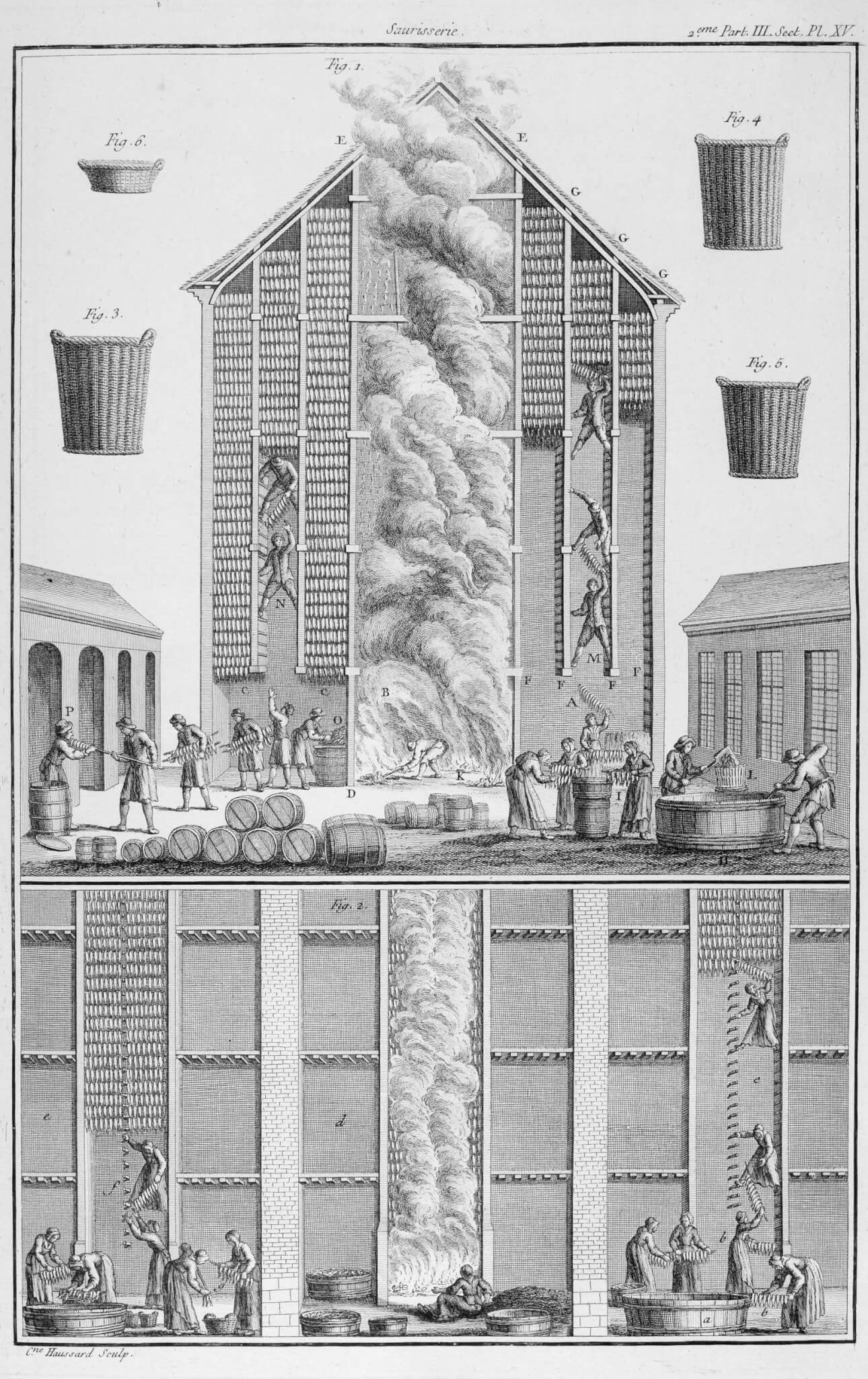 Herring preparation illustration featured in Architecture Follows Fish
