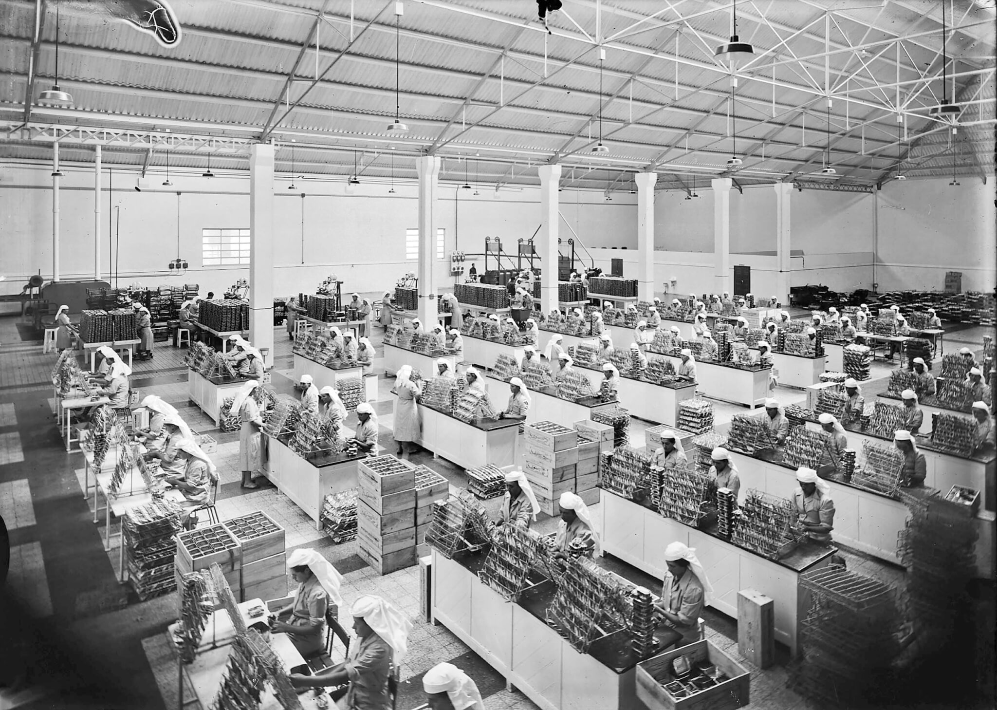 canning factory