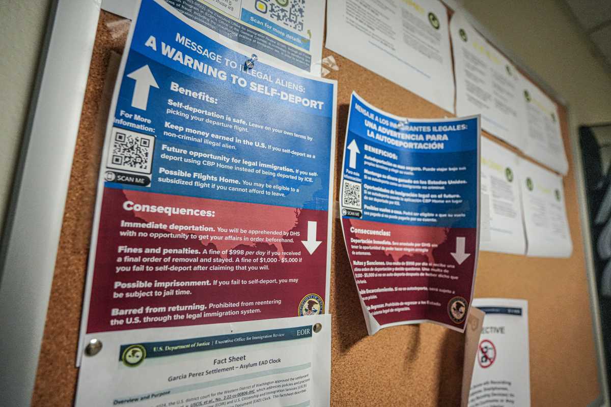 ‘Living hell': ICE presence at Manhattan immigration court fueling fear and anger among lawyers and visitors alike 3