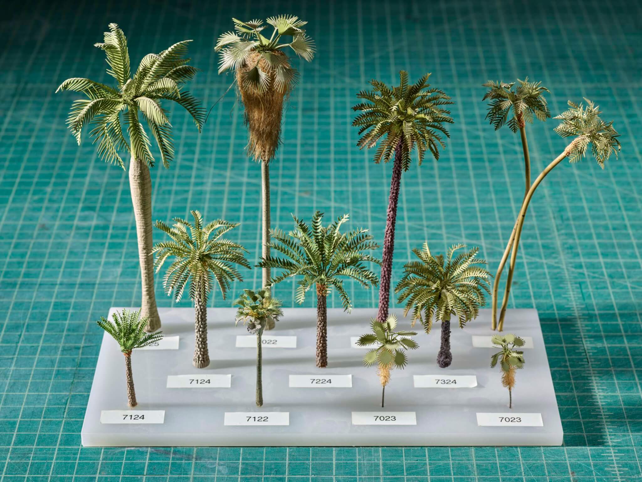 model of palm trees