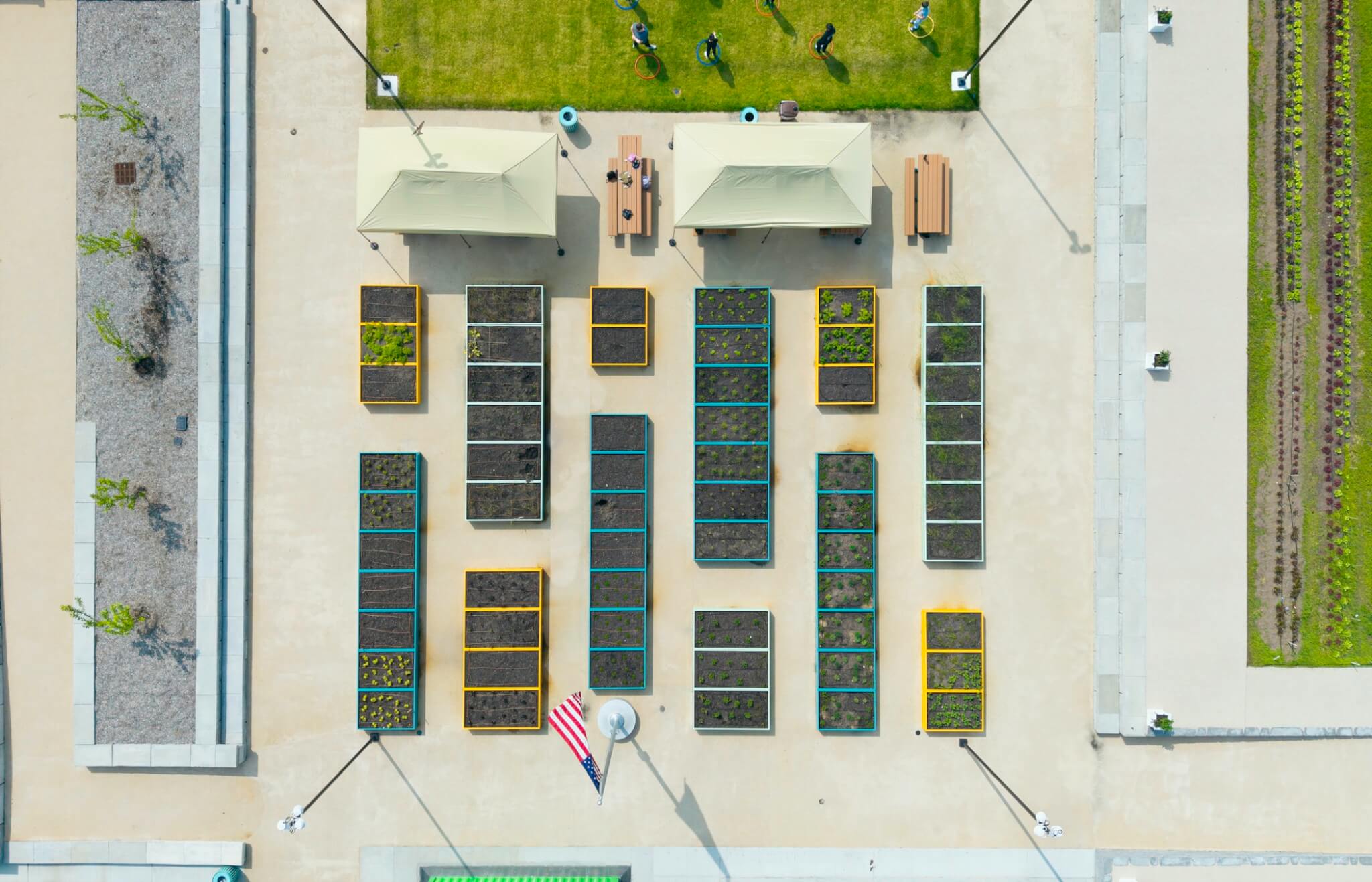 overhead view of plant beds