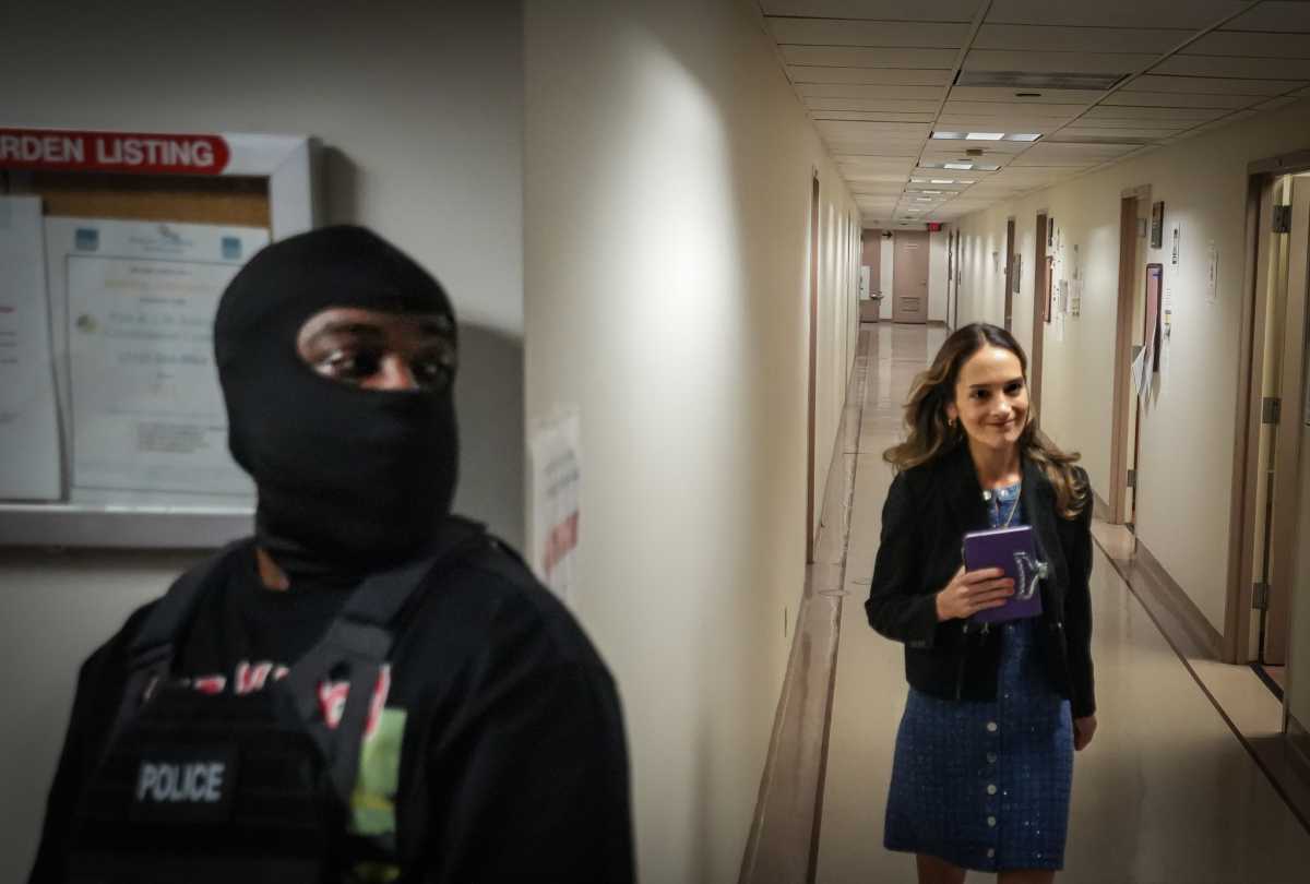 'Violent theatre of disappearance': Pols witness aggressive ICE arrests at federal court 3