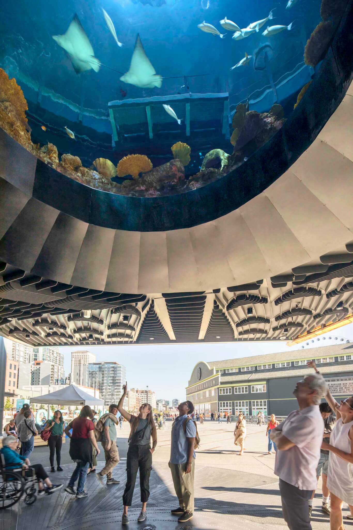 LMN and Thinc Design placed glazed openings inside the building and out