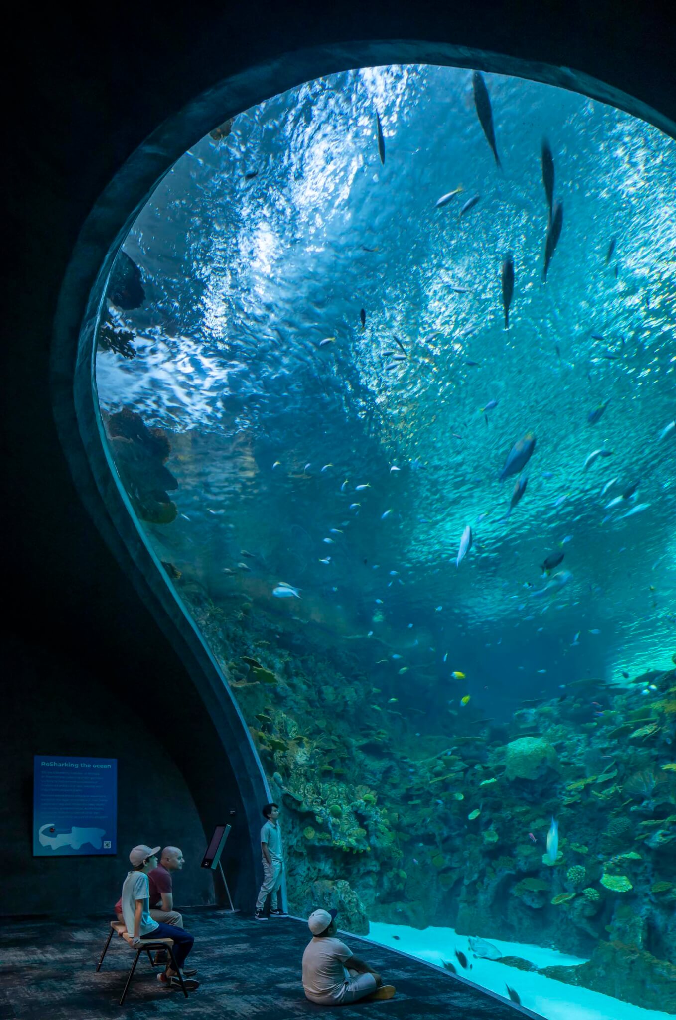 inside seattle aquarium looking at fish display