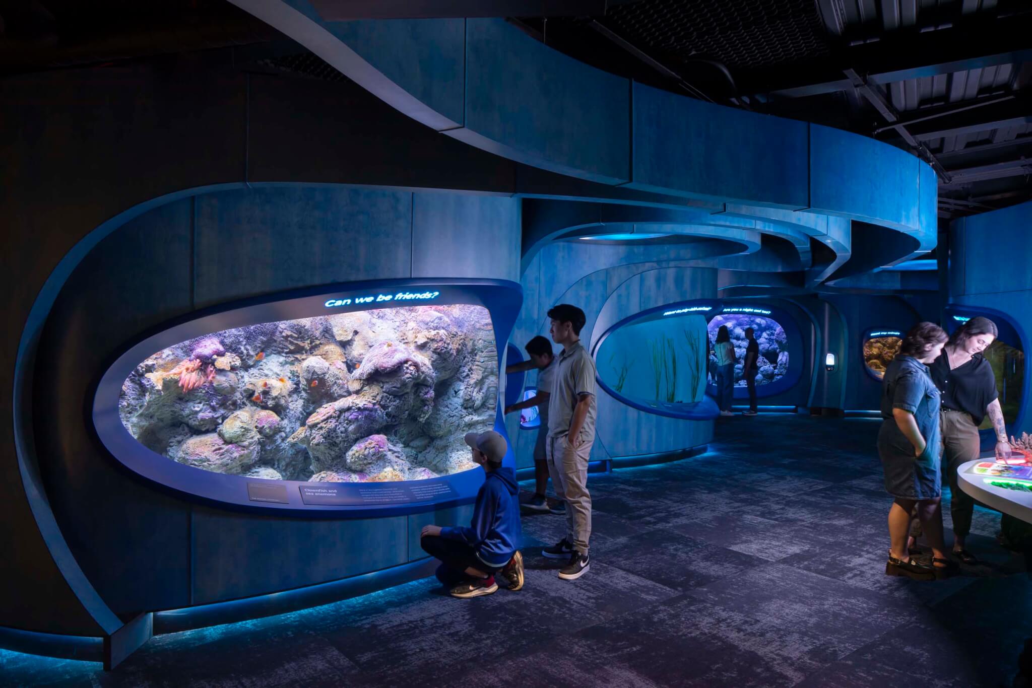interior of seattle aquarium habitat displays