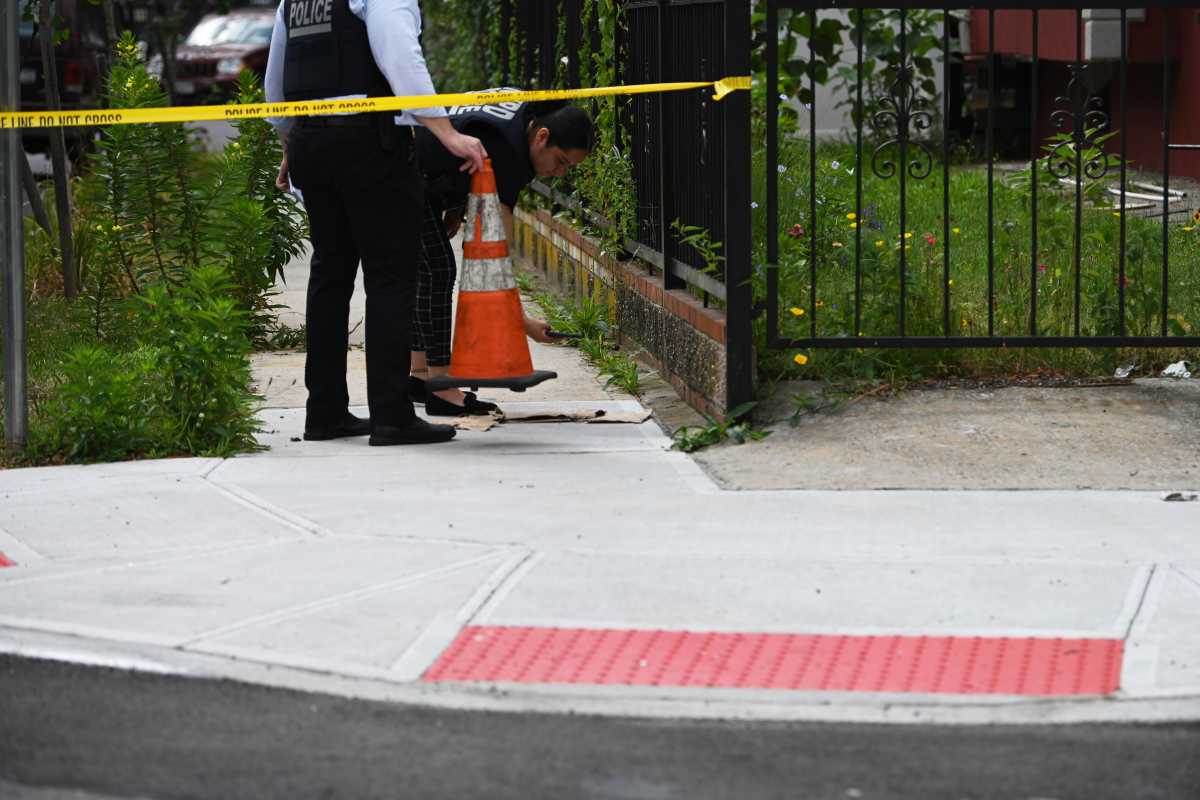 Queens man shot dead on residential block; cops seek suspect 3