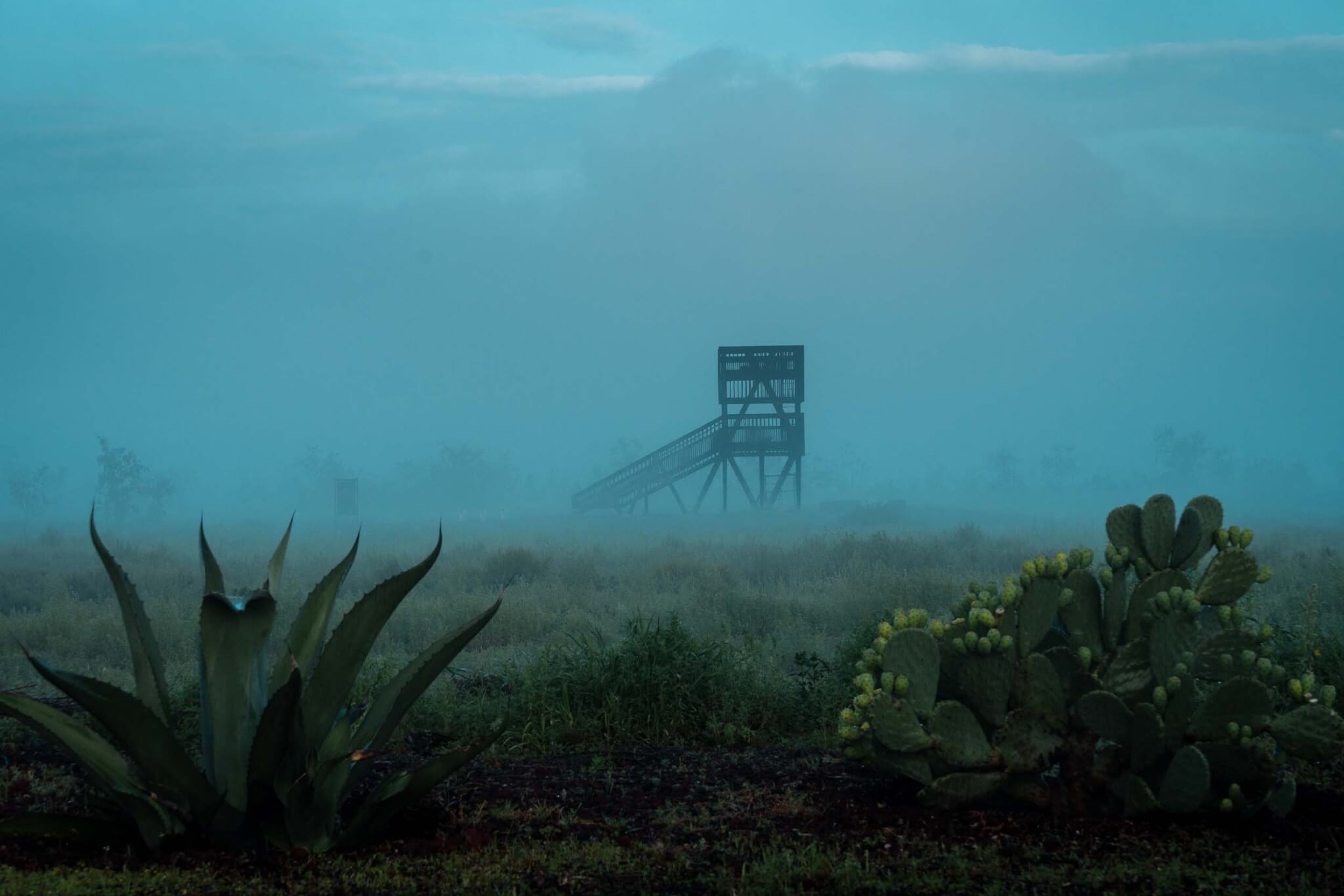 building in the fog