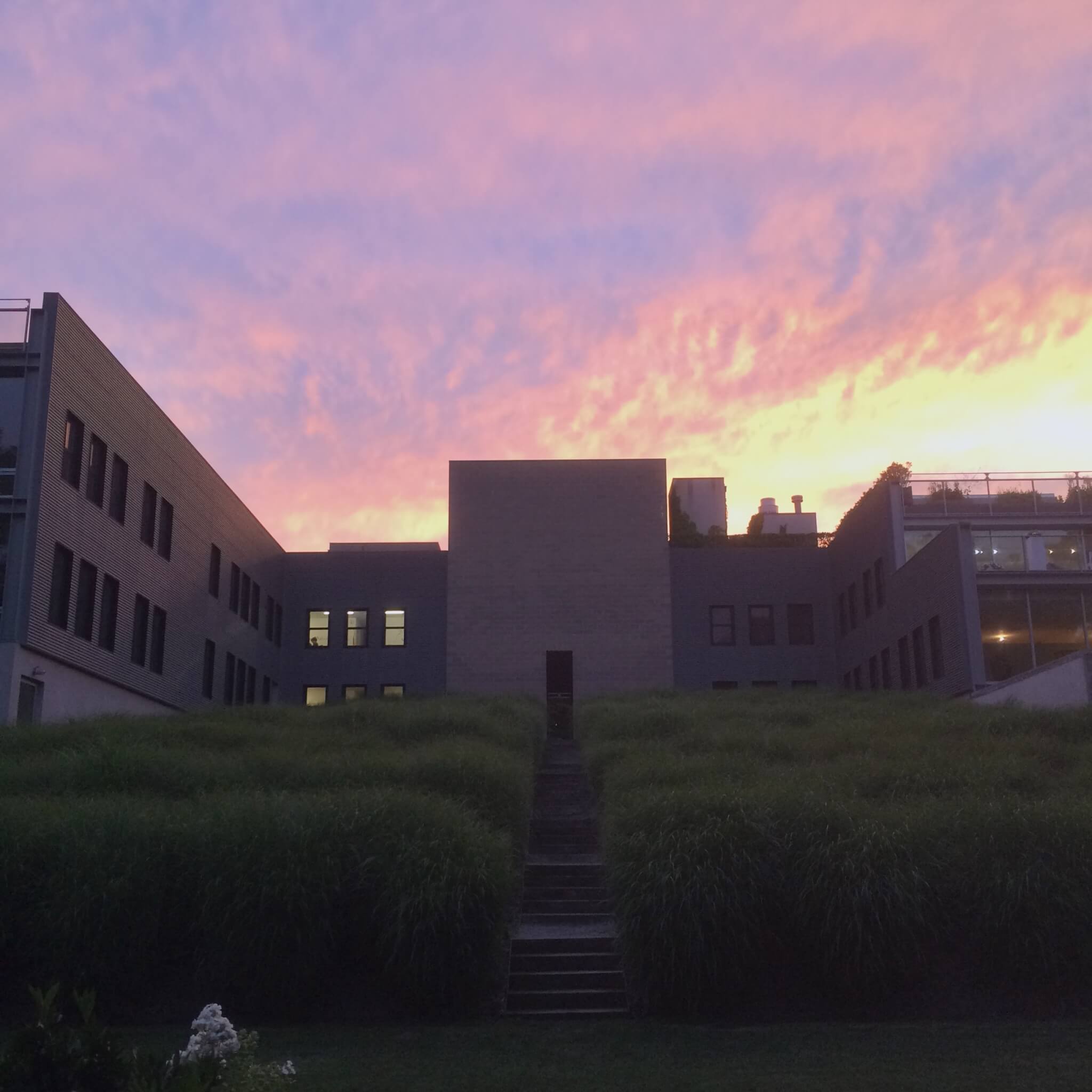Photo of The Watermill Center with the sun setting behind it.