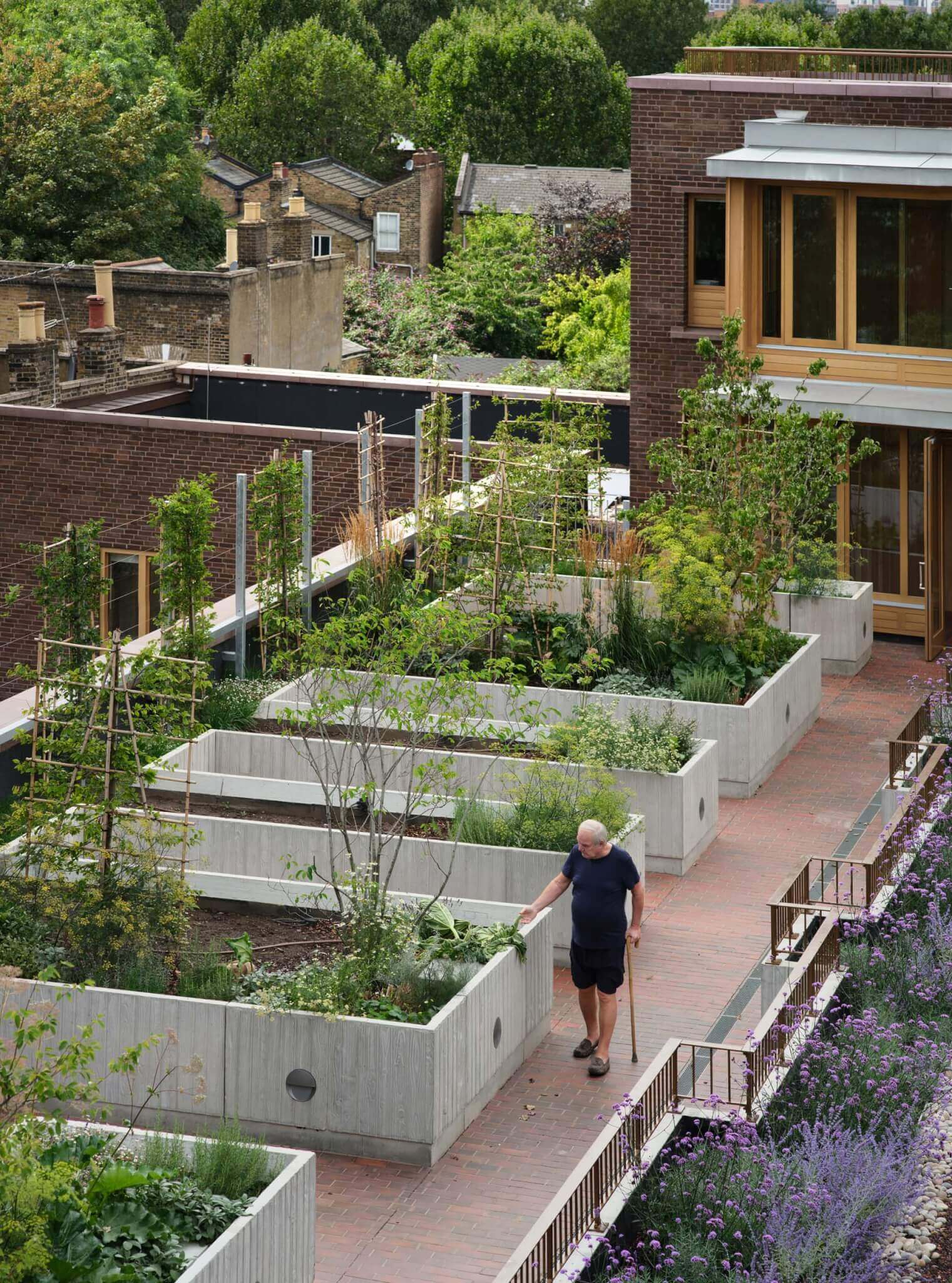 rooftop gardens
