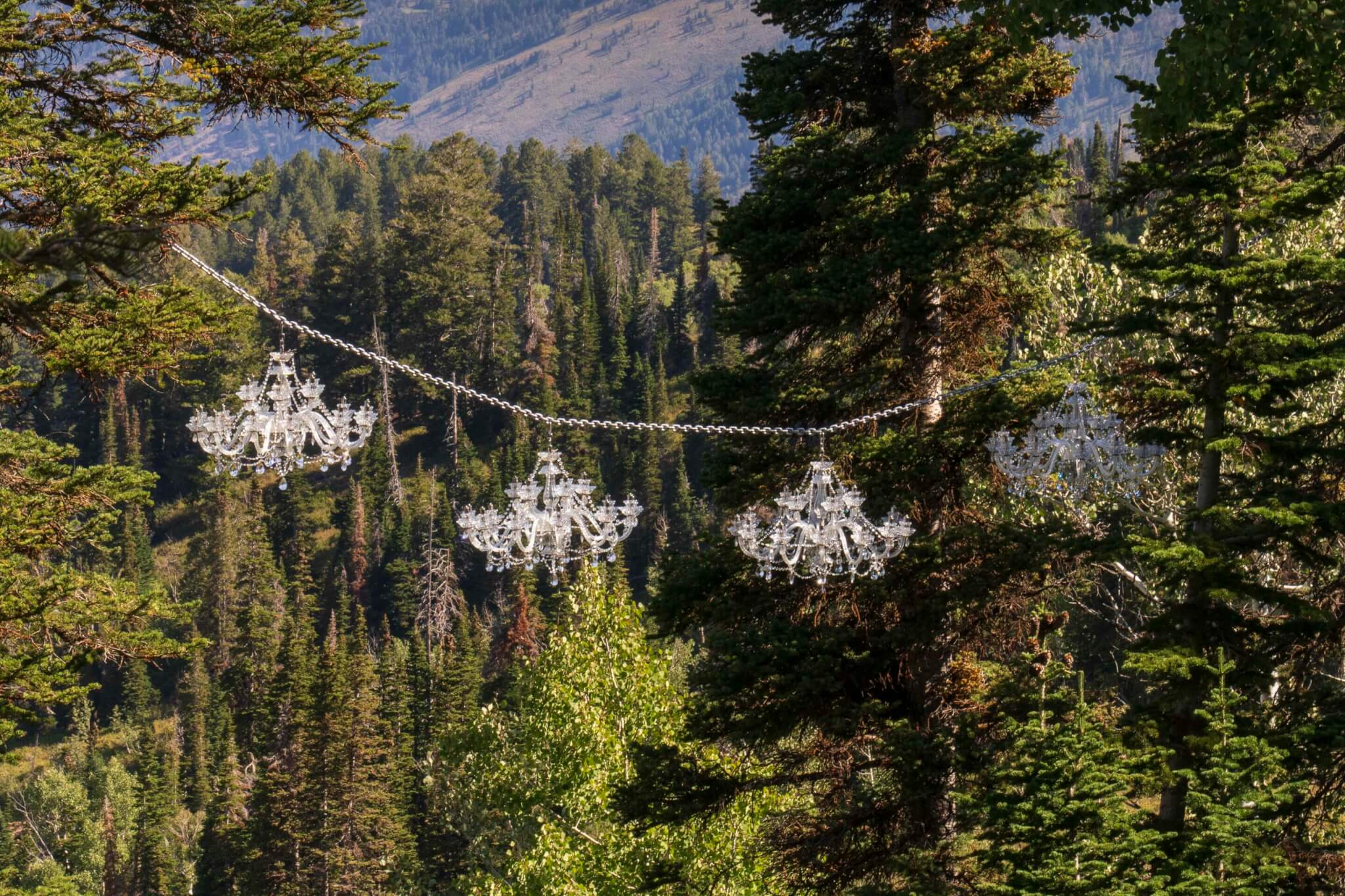 Chandeliers hanging between two trees