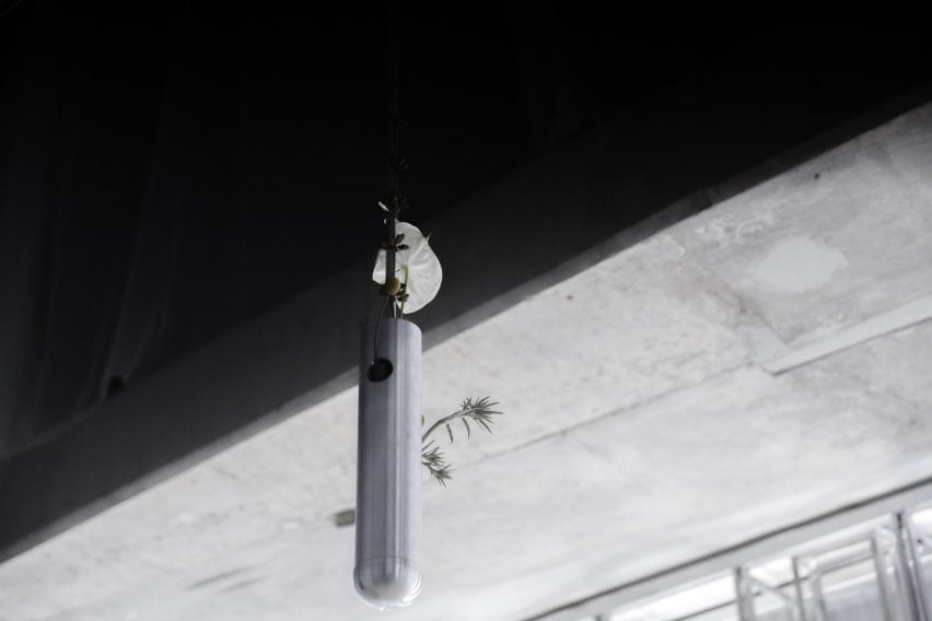 Xpan Guadalajara