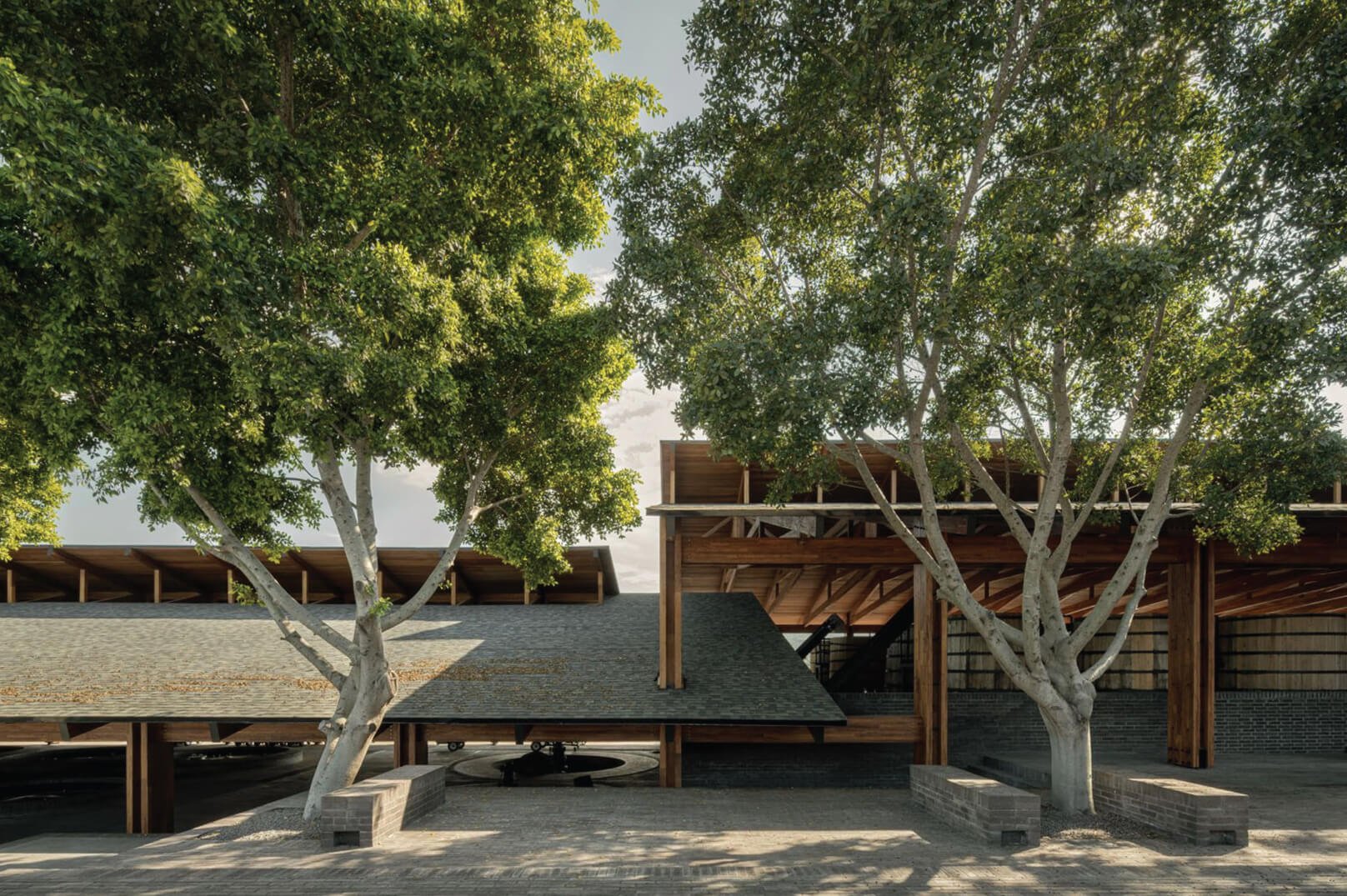 Mezcal Production Palenque