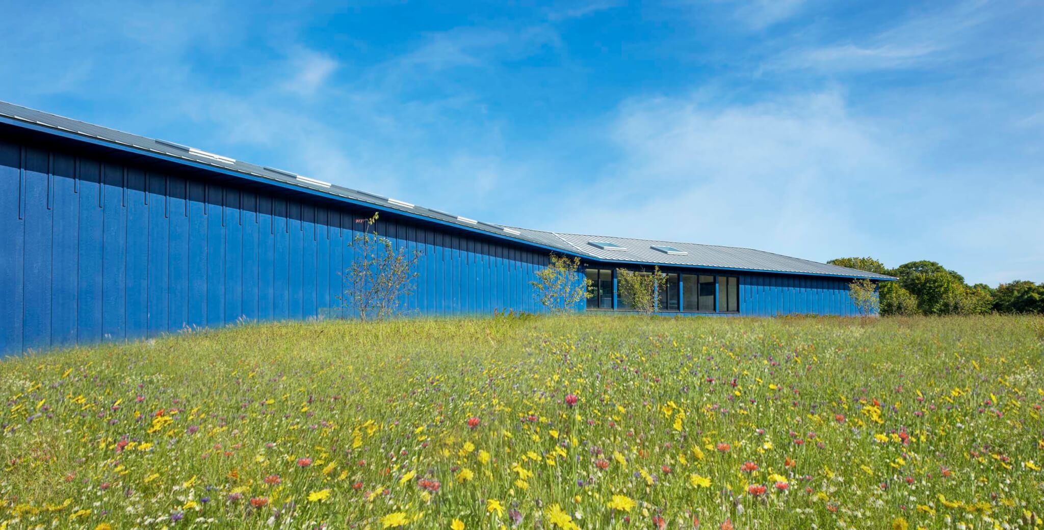meadow in back of museum