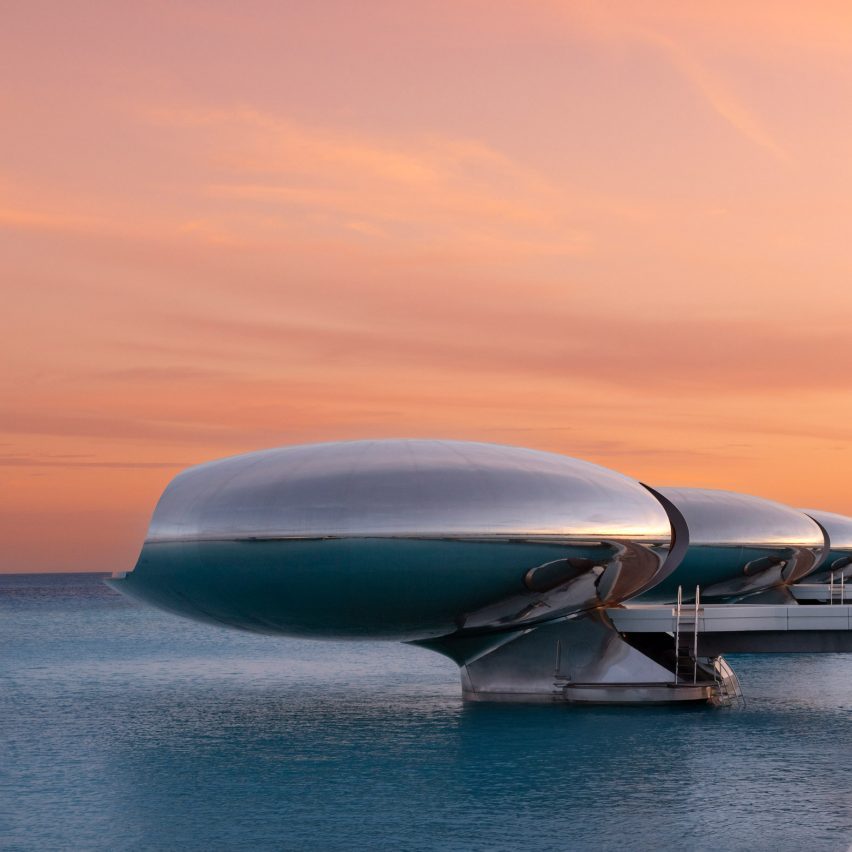 Silvery pods in the Red Sea