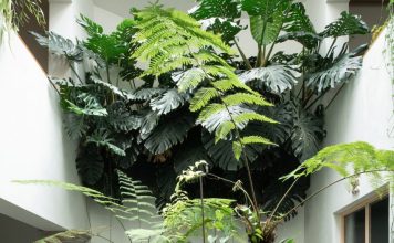 Max von Werz Architects renovates artist’s “serene and luminous” Mexico City townhouse