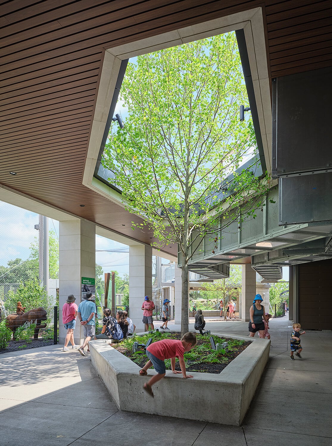 A covered outdoor courtyard with a large angular skylight opening, a tree growing through a concrete planter, and visitors walking through the Bramsen Tropical Forests