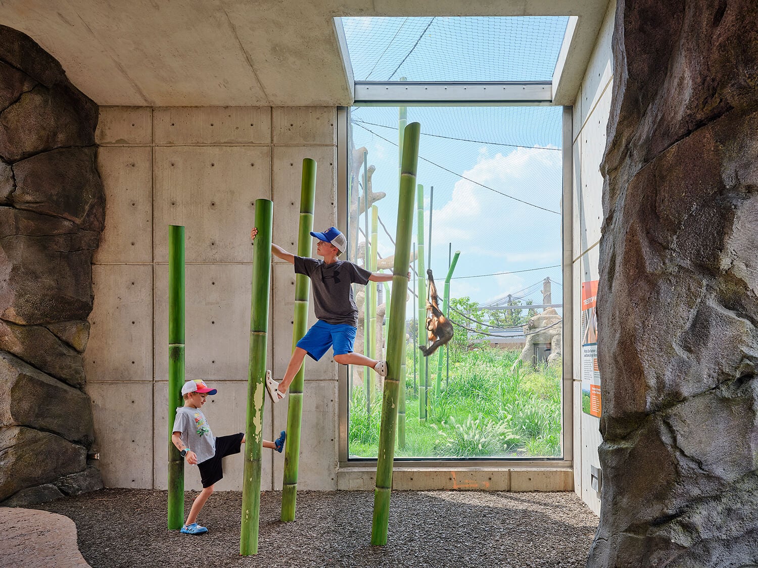 Children climb bamboo poles in an interactive play area while a primate swings on the other side of a large window in the background