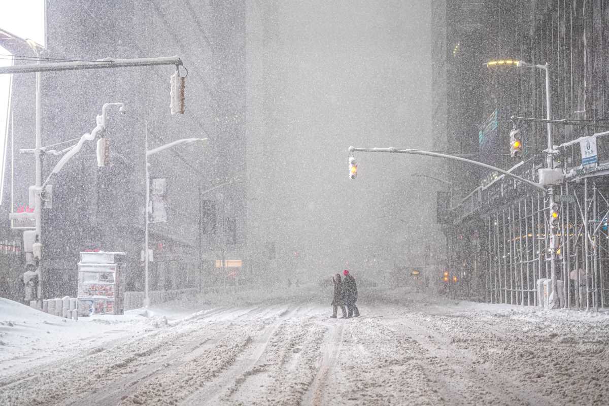 NYC BLIZZARD: See how New Yorkers managed the big snowstorm, then reveled in it 7
