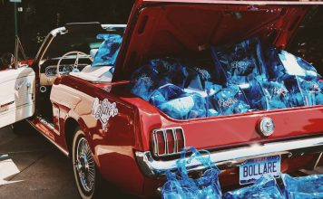 Alle Fister Looks Back On 20 Epic Years of Bollare