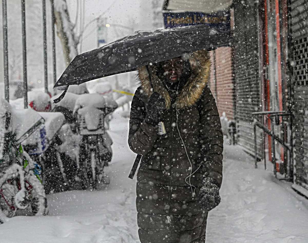 NYC BLIZZARD: See how New Yorkers managed the big snowstorm, then reveled in it 33