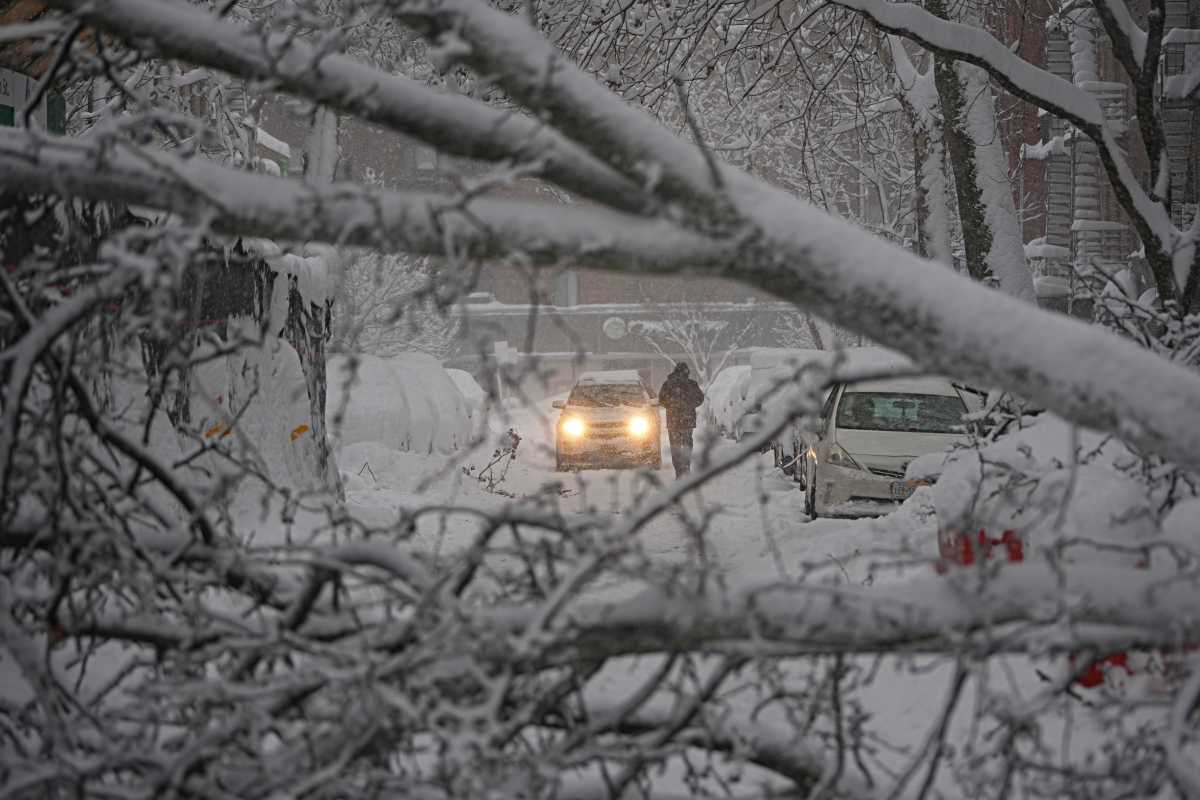 NYC BLIZZARD: See how New Yorkers managed the big snowstorm, then reveled in it 21