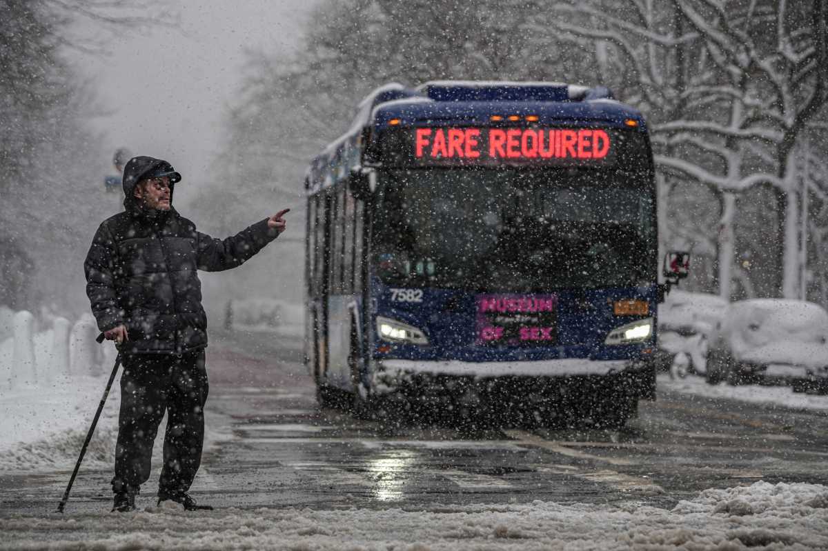 NYC BLIZZARD: See how New Yorkers managed the big snowstorm, then reveled in it 16