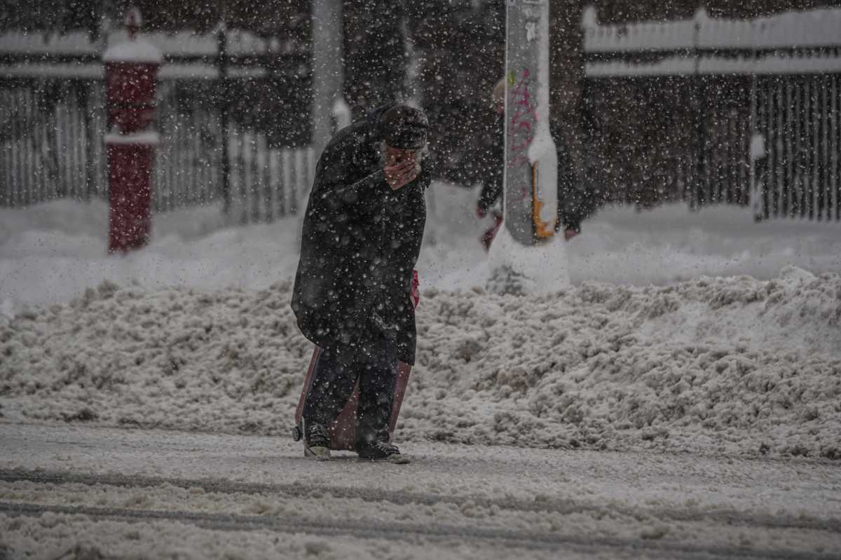 NYC BLIZZARD: See how New Yorkers managed the big snowstorm, then reveled in it 20