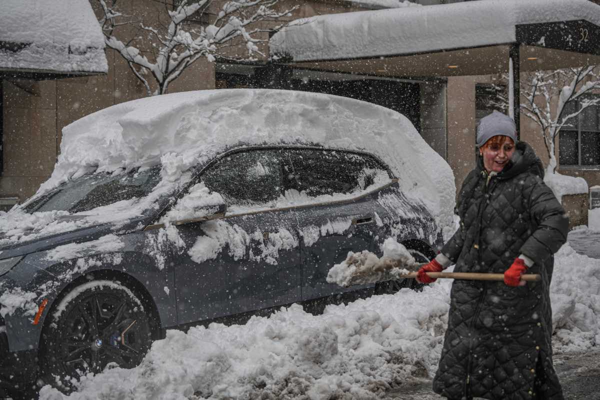 NYC BLIZZARD: See how New Yorkers managed the big snowstorm, then reveled in it 8