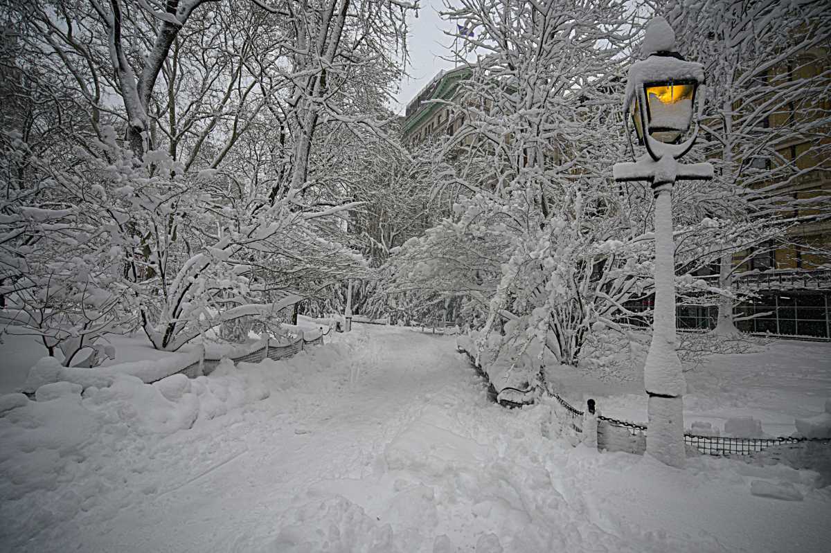 NYC BLIZZARD: See how New Yorkers managed the big snowstorm, then reveled in it 11