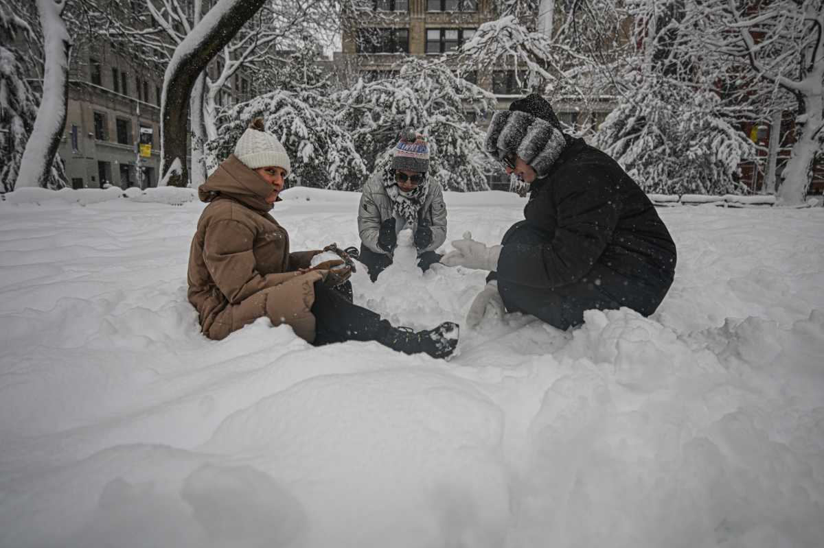 NYC BLIZZARD: See how New Yorkers managed the big snowstorm, then reveled in it 29