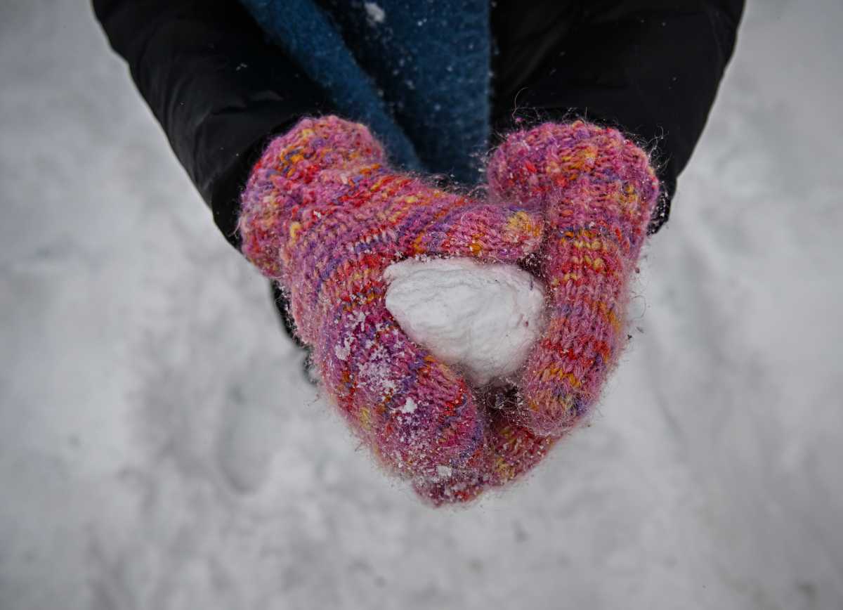 NYC BLIZZARD: See how New Yorkers managed the big snowstorm, then reveled in it 25