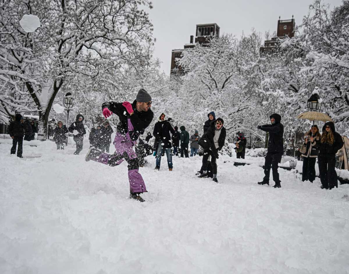 NYC BLIZZARD: See how New Yorkers managed the big snowstorm, then reveled in it 26