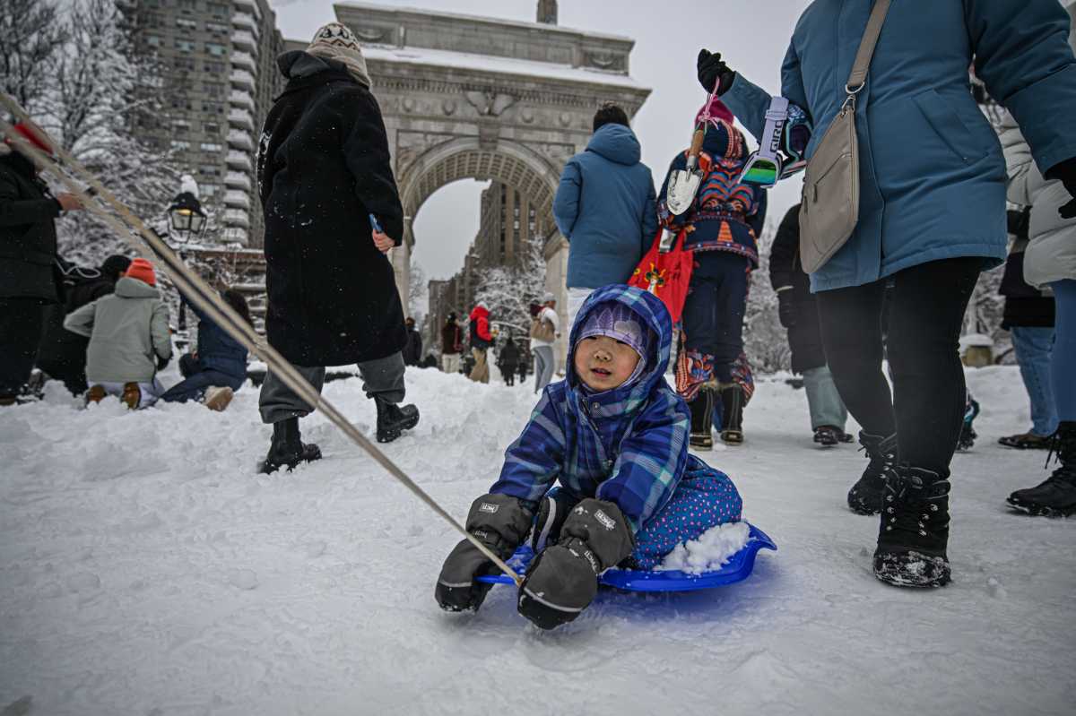 NYC BLIZZARD: See how New Yorkers managed the big snowstorm, then reveled in it 19