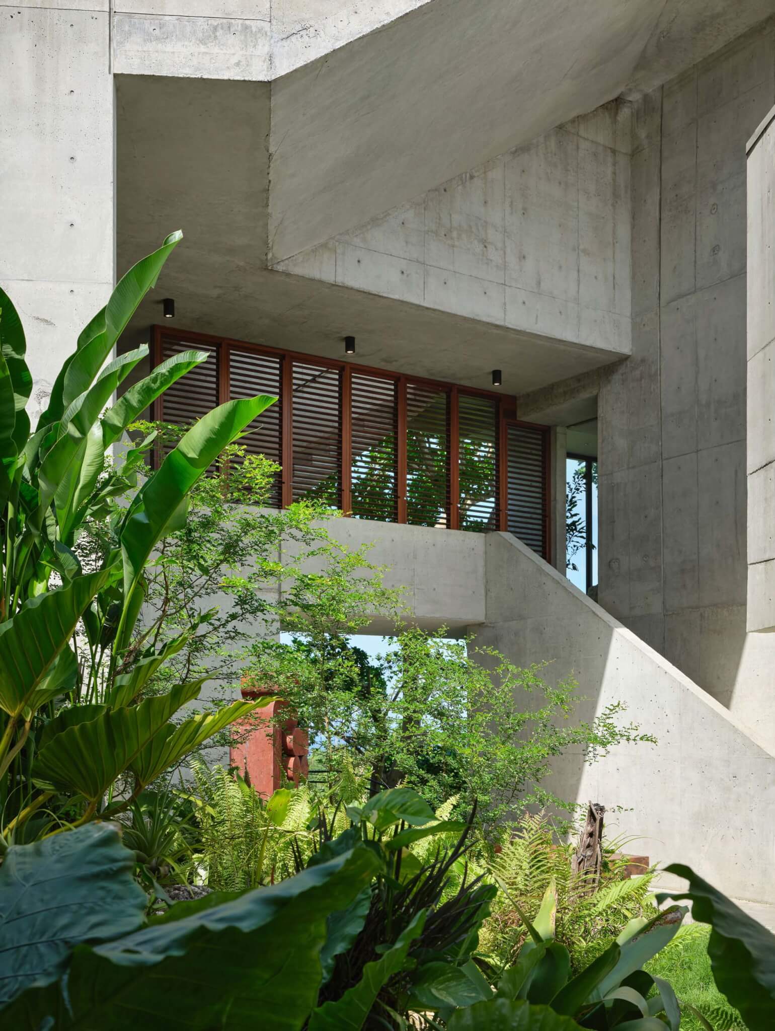 house with greenery in front