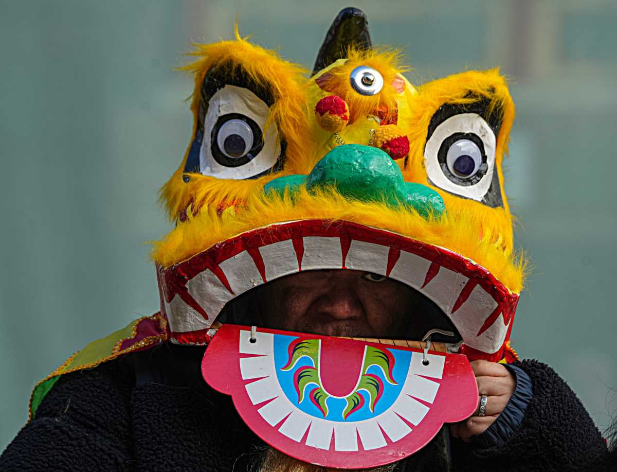 SEE IT: New York celebrates Lunar New Year in Chinatown 8