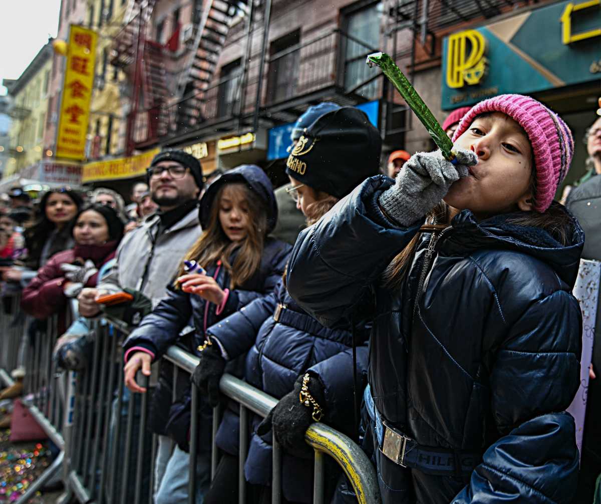 SEE IT: New York celebrates Lunar New Year in Chinatown 16