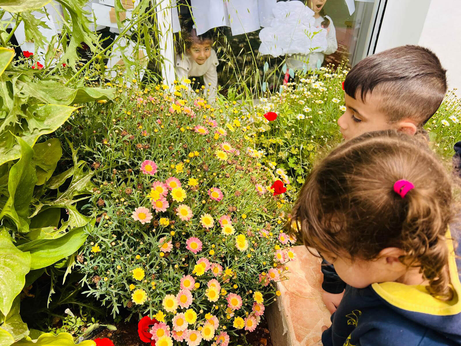 plantings of playground